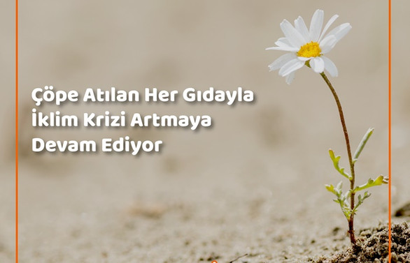 “Her yıl 14.5 milyar dolar çöpe gidiyor''