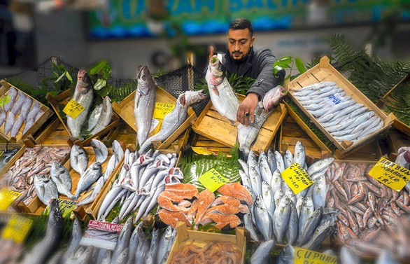 Balıklar bu kez objektiflere takıldı!