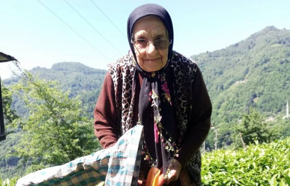 İşçi bulamadı, 102 yaşında çay topluyor!