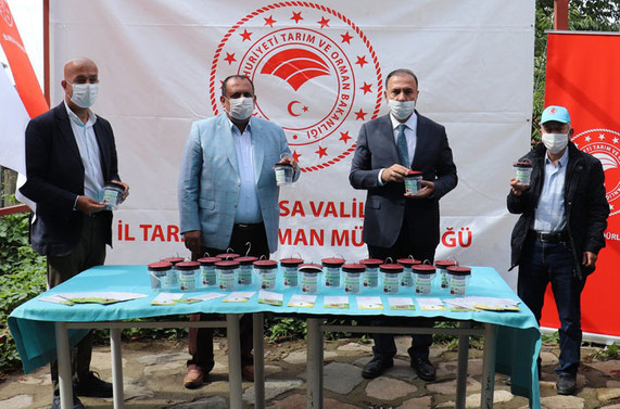 Meyvede verim doğal yöntemlerle artırılacak