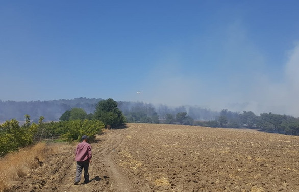 Çanakkale’de orman yangını