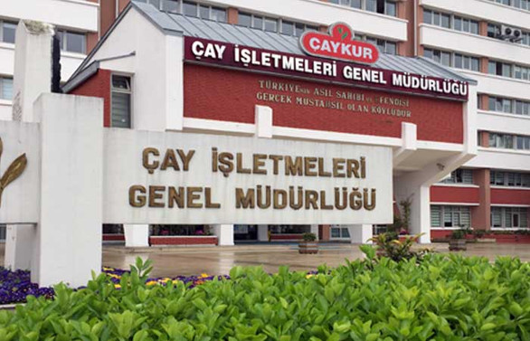 ÇAYKUR'da yaş çay bedeli ödemelerine başlandı