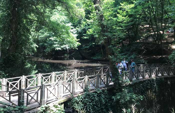 İstanbullular, Belgrad Ormanı'na akın etti