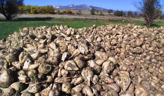 2015'te 530 ton pancarla alınan traktör, bu yıl 890 ton pancarla alınabiliyor