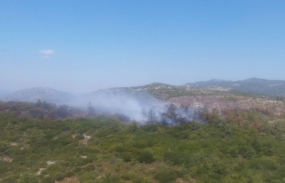 İzmir'de orman yangını