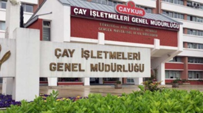 ÇAYKUR'da üçüncü sürgün kotası belirlendi