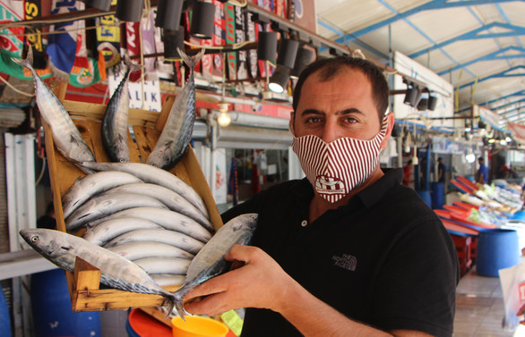 Balıkesir'de vira bismillah diyecek balıkçılar palamut bolluğundan umutlu