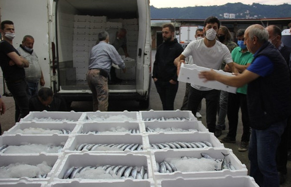 Balık sezonu başladı, palamutta bolluk bekleniyor