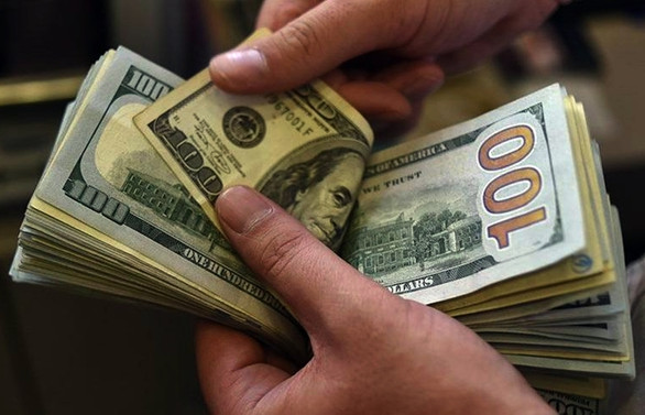 Bireyler de şirketler de dolar sattı