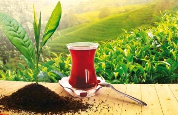 Türkiye'den 103 ülkeye 10,8 milyon dolarlık çay ihracatı