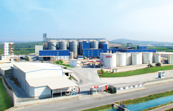 Aves Enerji, COVID-19 Güvenli Gıda Üretim Sertifikası aldı