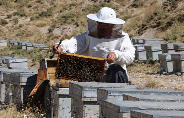 Bal ihracatı 8 ayda 3 bin 751 tona ulaştı