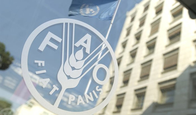 FAO, Şanlıurfa'nın bozkır ekosistemini korumaya alacak