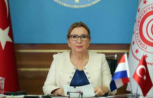 Pekcan: Türk firmalar Hollanda'da daha fazla proje üstlenmeli