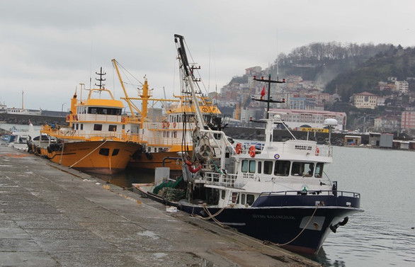 Balıkçılar deniz suyu sıcaklıklığının düşmesini bekleyecek