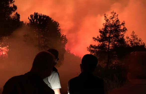Hatay'daki orman yangınına havadan müdahale yeniden başladı