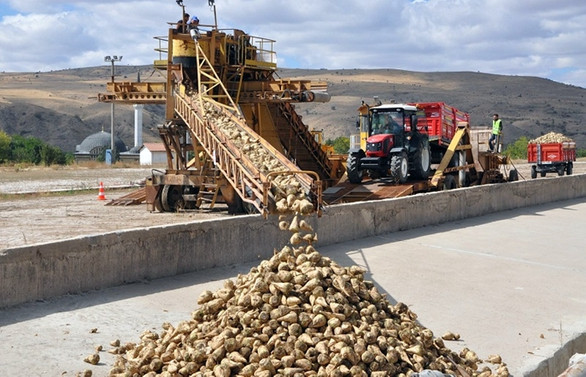 Uşak Şeker Fabrikası yeni üretim dönemine başladı