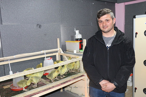 Ordu'da 40 çiftçiye 4 bin kaz dağıtıldı