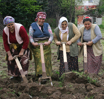 Cumhurbaşkanı Erdoğan’ın tarım çağrısına Trabzon’dan destek