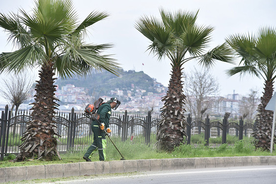Giresun'da bahar temizliği sürüyor