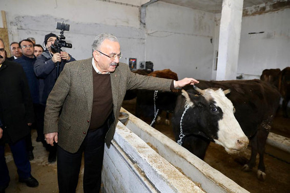 Türkiye’de ilk olma özelliğine sahip hayvan bakım ve kiralama oteli