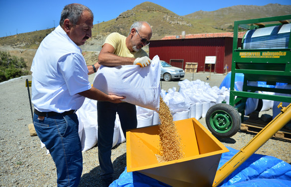 İl il gezip topladıkları ata tohumlarını un ve ekmeğe dönüştürüyorlar