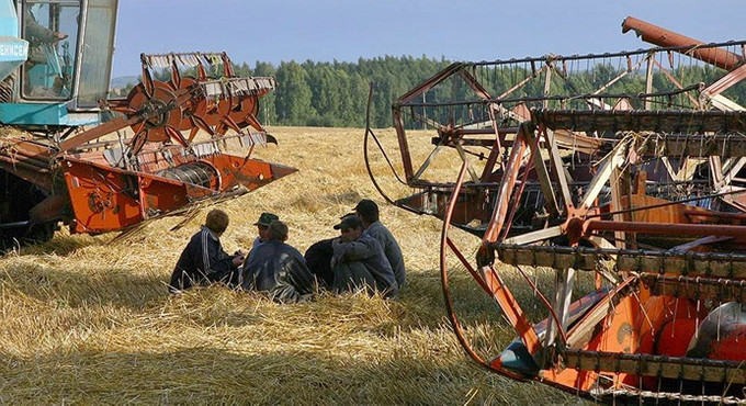 Rusya'nın tahıl ihracatı azaldı