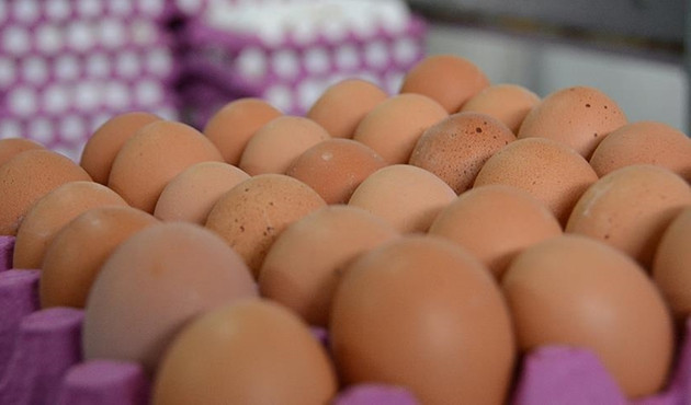 Hollanda'dan 'ilaçlı yumurta' açıklaması