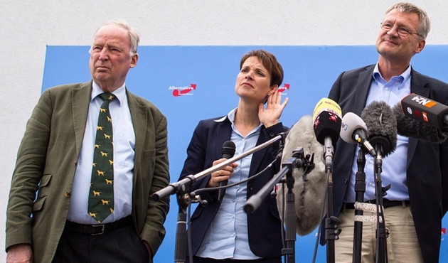 Alman AfD'nin yeni eş başkanları belli oldu