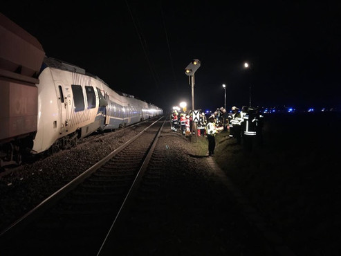 Almanya'da iki tren çarpıştı