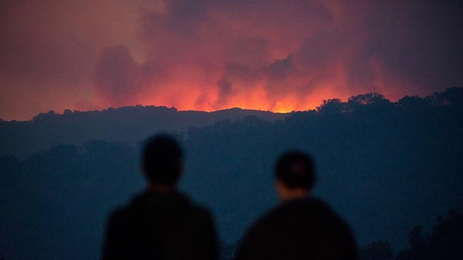 ABD'de orman yangını çıkartana rekor ceza