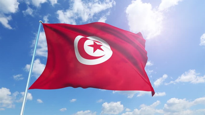 'BAE'den Tunus'ta darbe girişimi' iddiası