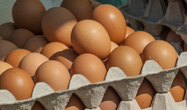 Yumurta ihracatı 12 yılda 20 kat arttı