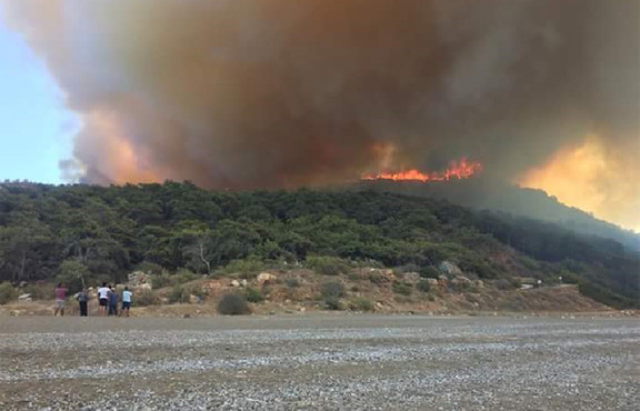 Pakdemirli, Antalya'daki yangınla ilgili açıklama yaptı