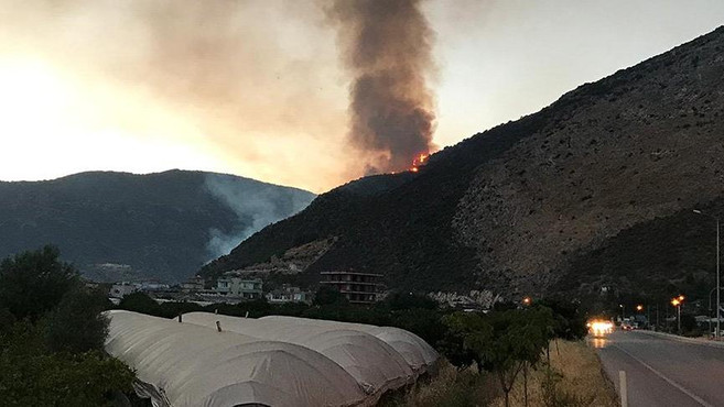 Antalya'da orman yangını 