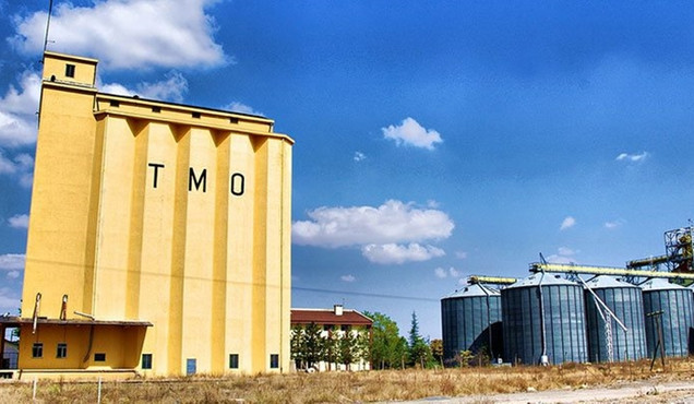 TMO ithalat ihalesinde 550 bin ton buğday aldı