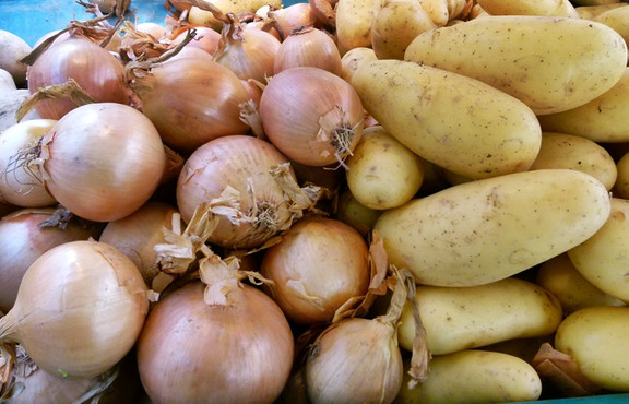 Patates ve soğanda ihracat kontrollü açılıyor