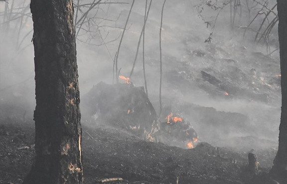 Bakan Pakdemirli: 11 orman yangınının 10’unu kontrol altına aldık