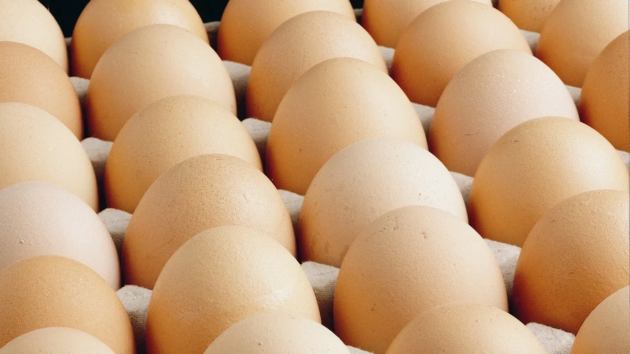 Yumurta fiyatları bir yılda yüzde 100 arttı - Dünya Gazetesi