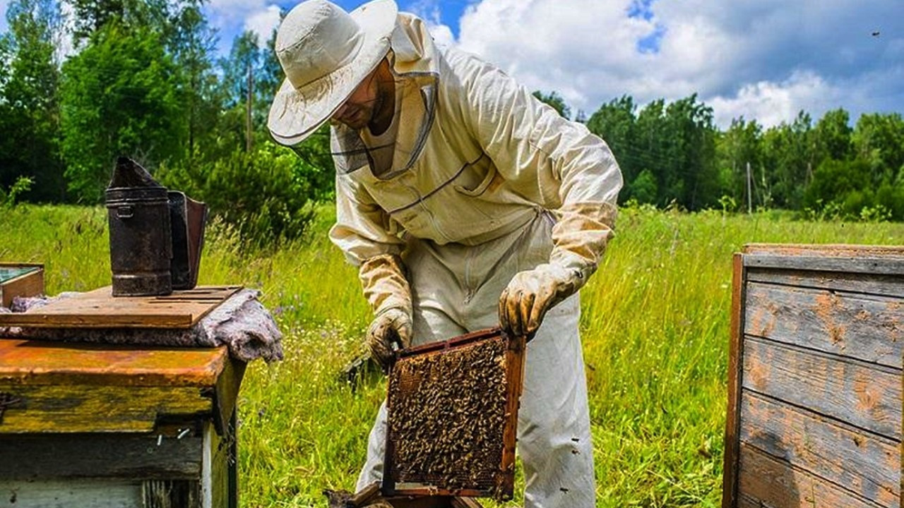 Η Ak Asset Management επένδυσε στη μελισσοκομία αυτή τη φορά