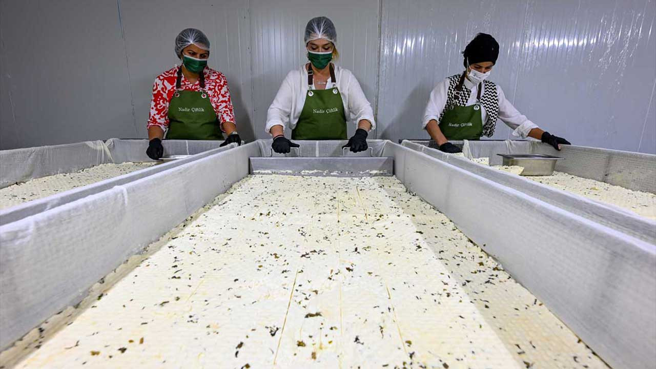 Girişimci anne – kız, otlu peynirde marka değeri için çalışıyor
