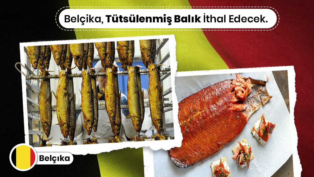 Belçika, Tütsülenmiş Balık İthal Edecek