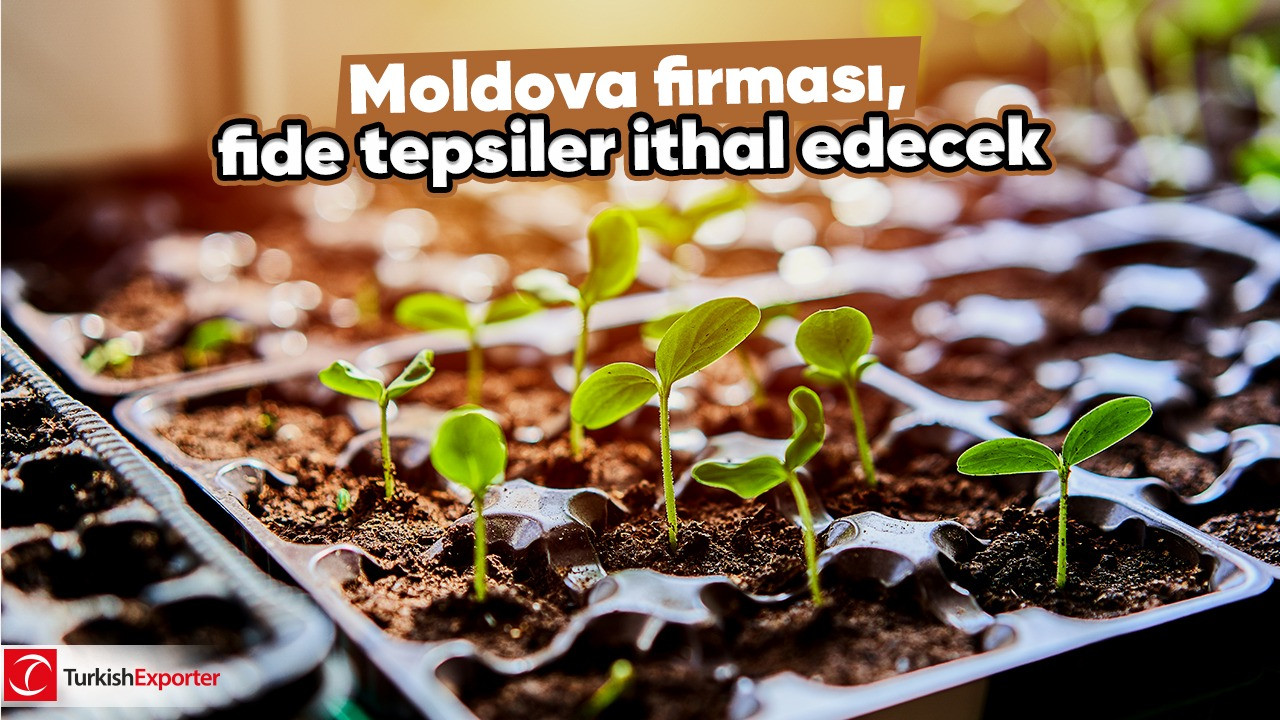 Moldova firması, fide tepsiler ithal edecek