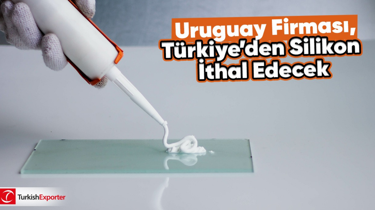 Uruguay Firması, Türkiye’den Silikon İthal Edecek