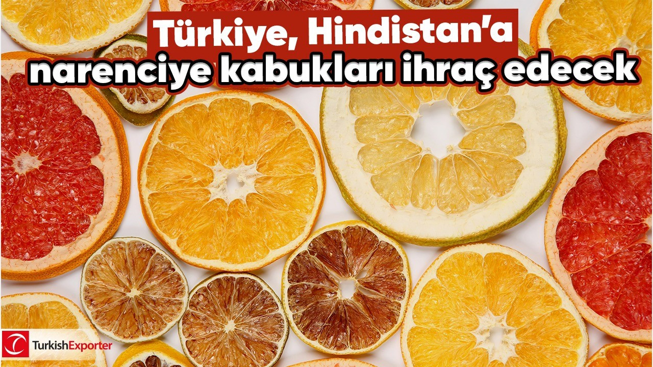 Türkiye, Hindistan’a narenciye kabukları ihraç edecek