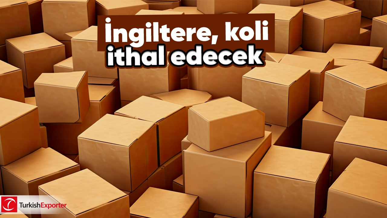 İngiltere, koli ithal edecek