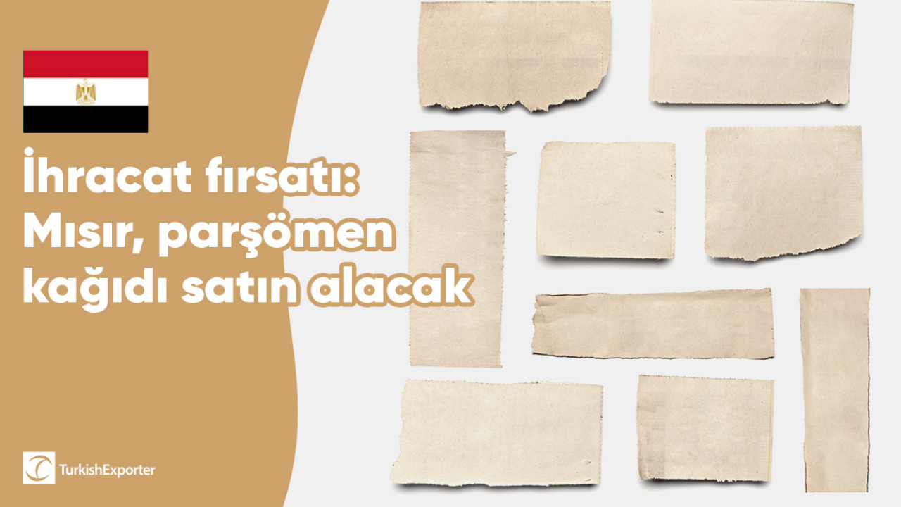 İhracat fırsatı: Mısır, parşömen kağıdı satın alacak