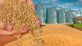 TMO'ya gümrüksüz tahıl ithalatı yetkisi