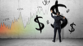 Dolar/TL, 3.54 seviyesini aştı