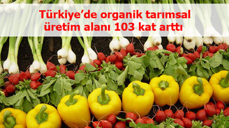 Organik tarımsal üretim alanı 103 kat arttı